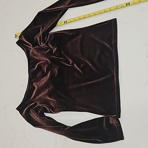 Soft Surroundings Brown Velvet Off-Shoulder Built-In Bra Size 34